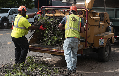 Photo: two workers putting tree branches into a shredding device.
